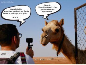 Que faire dans le désert de Wahiba Sands à Oman ?